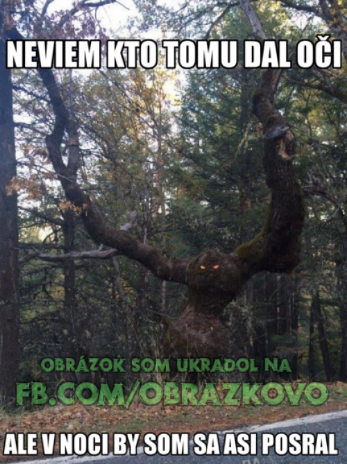  Strašidelný strom 