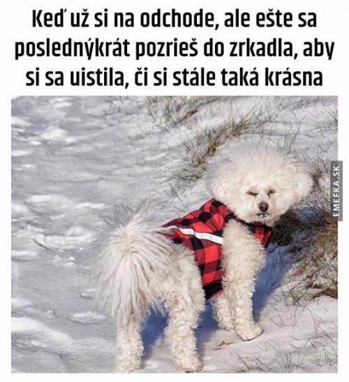  Počkej, vypadám krásně? 