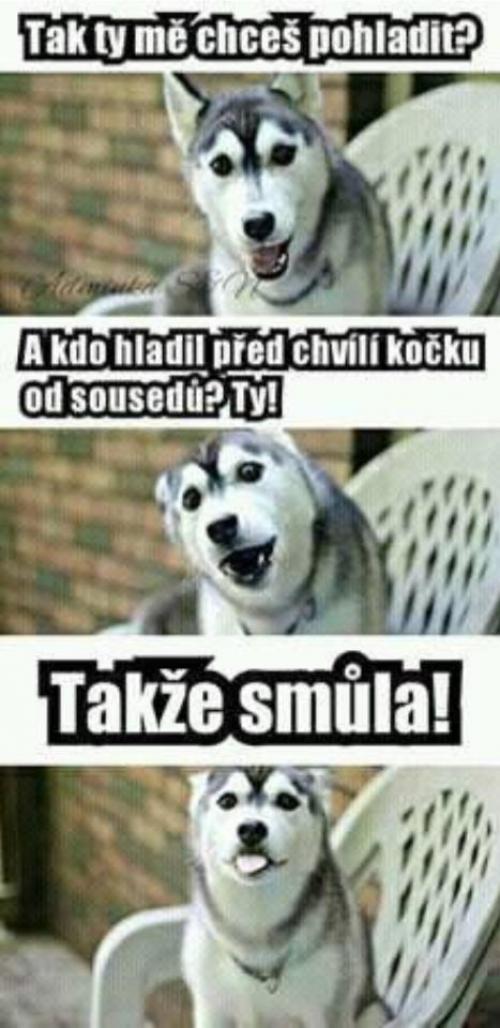  Smůla 