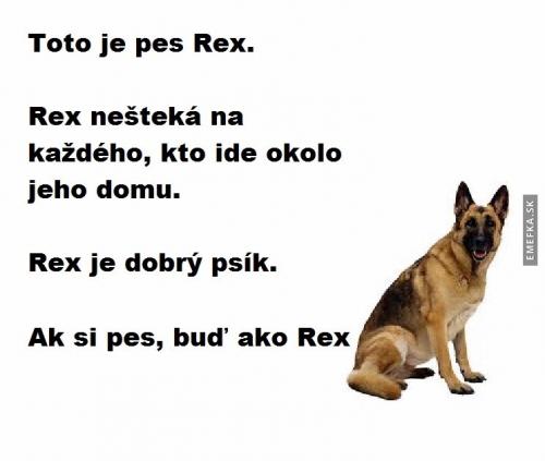  Rex 