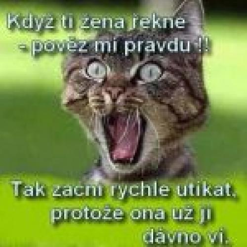 Ženy a pravda