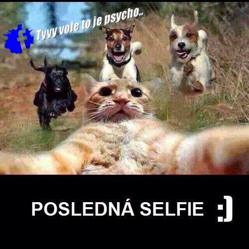  poslední selfie 