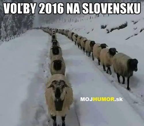  Volby 2016 
