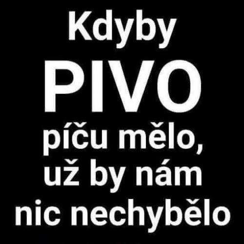  Pivo 