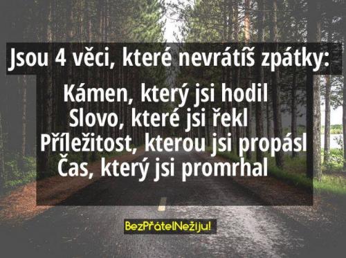 Návrat