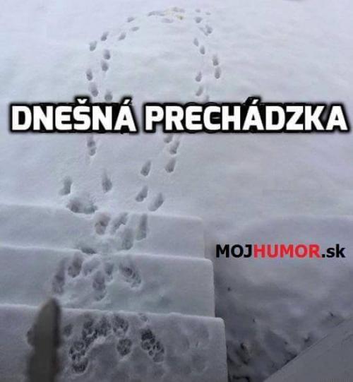  Dnešní procházka 