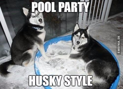  Pool party 