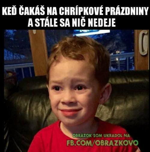  Chřipkové prázdniny 