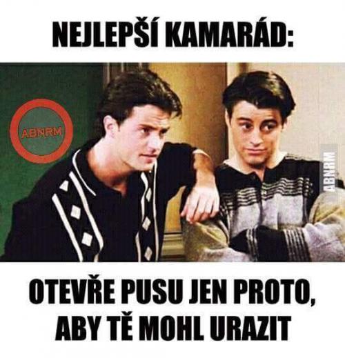  Nejlepší kamarád 