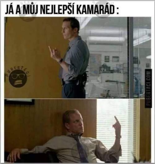  Nejlepší kamarád 