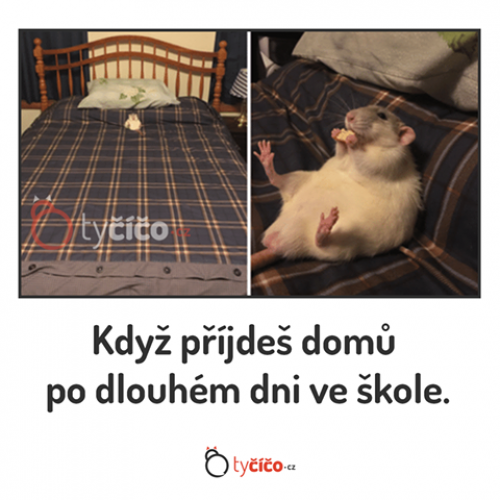  Po dlouhém dni ve škole 