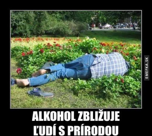  Alkohol 