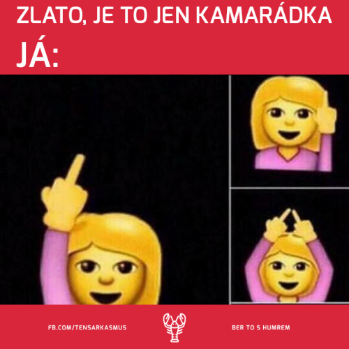  Kamarádka 