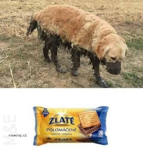 Polomáčené