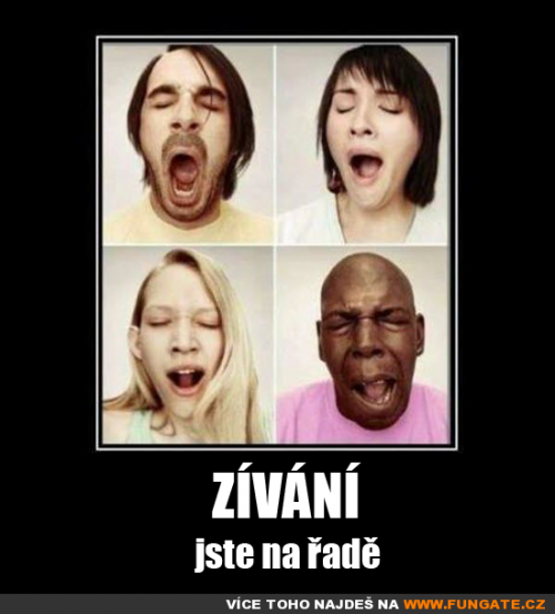 Jo já to zvládl