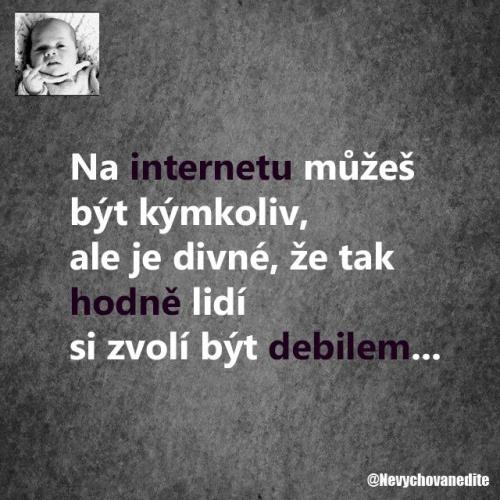  Internet 