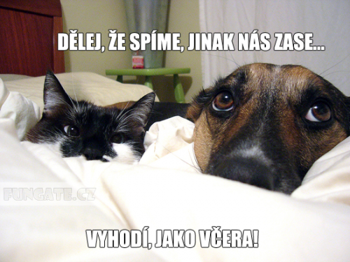 V posteli