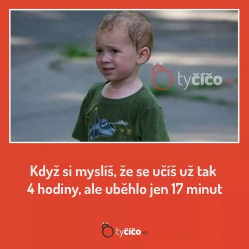  Učení 