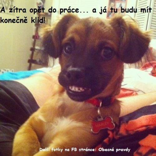  Práce 