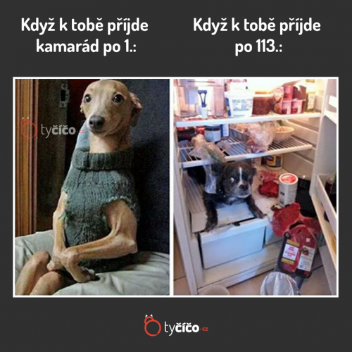 U kámoše