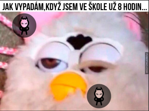Už zase