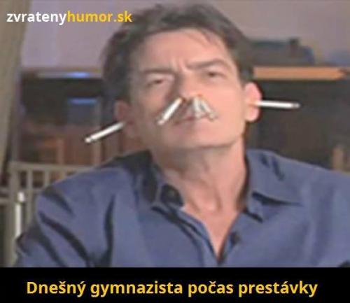 Přestávky