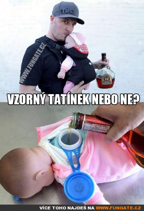  Vzorný tatínek nebo ne 