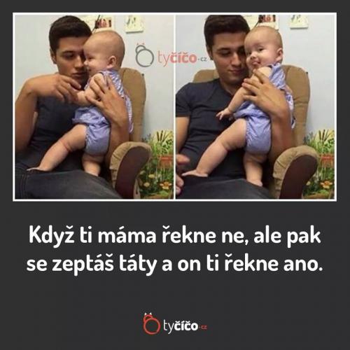TTáta