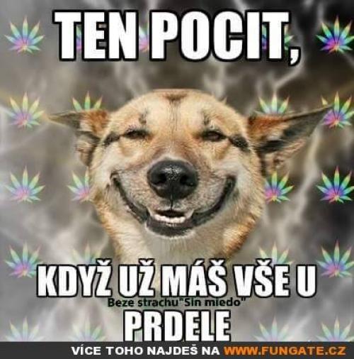  Ten pocit, když už máš vše 