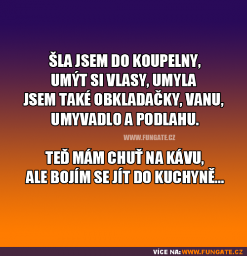  Máte již za sebou vánoční úklid 