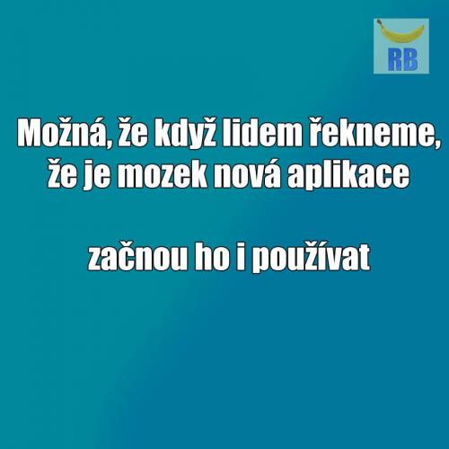  Mozek 