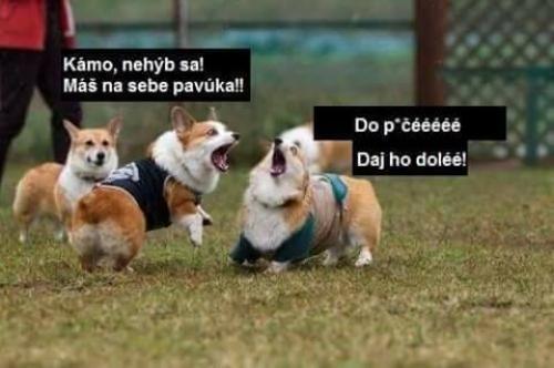 Nehábej se