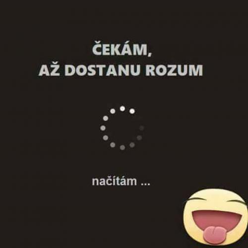  Rozum 