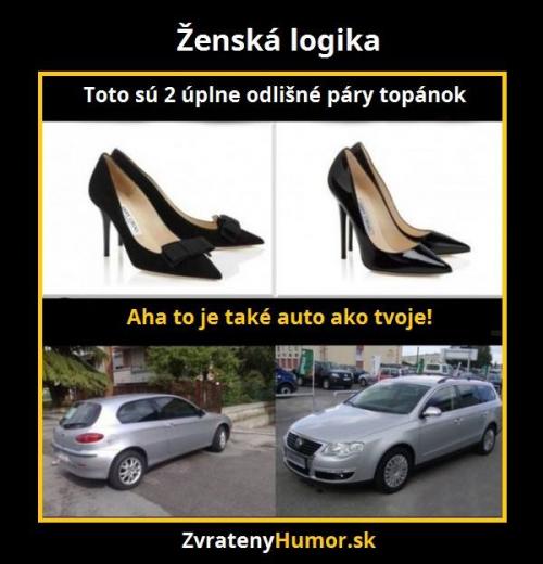  Logika žen 