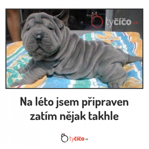  Připraven na léto 