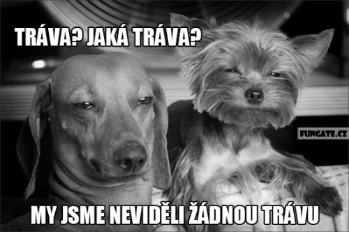 Total