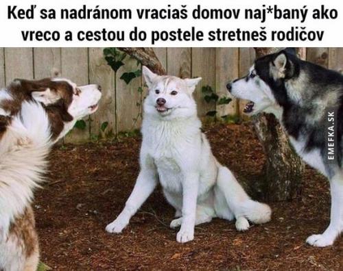  Návrat 