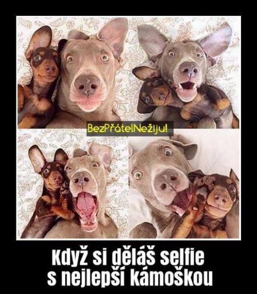  Kámoška 