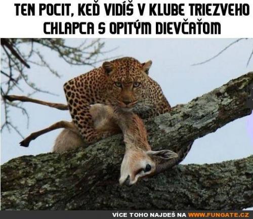  Ten pocit, když vidíš v klubu… 