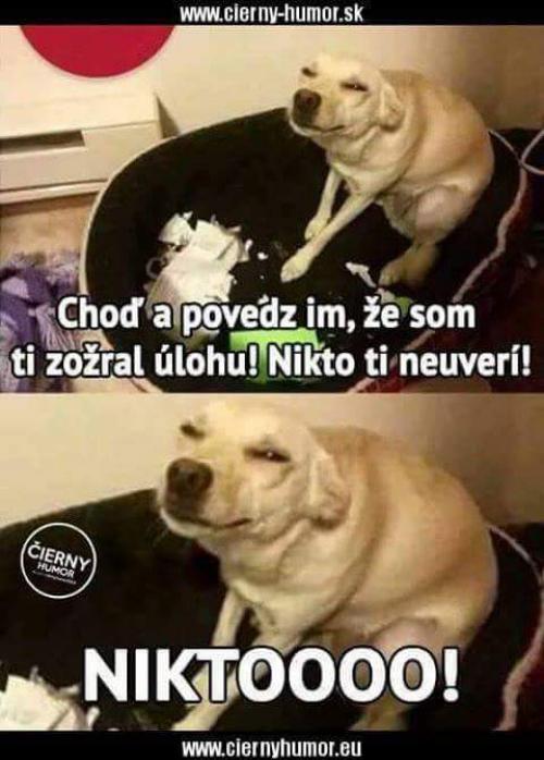 NIkdp