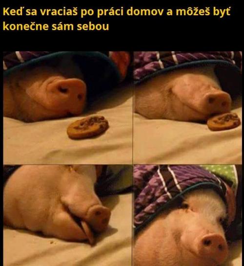  Když můžeš být konečně sám sebou :D 