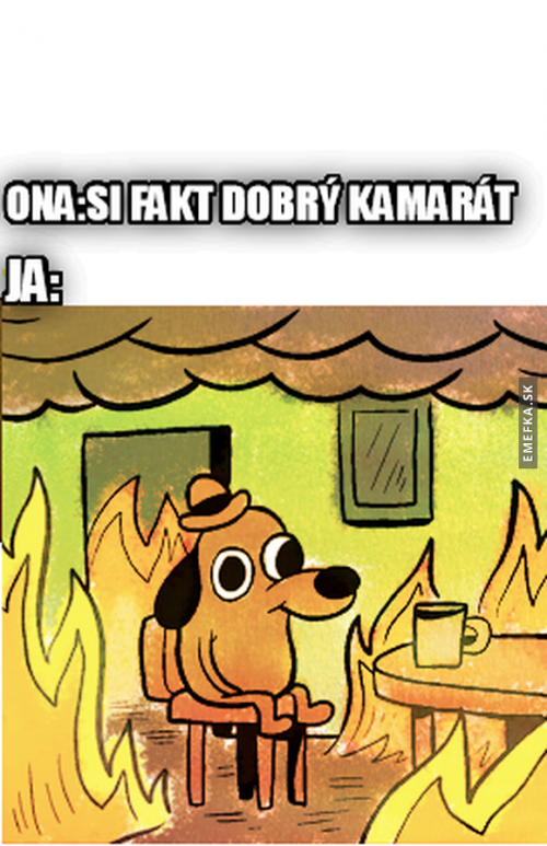  Dobrý kamarád 