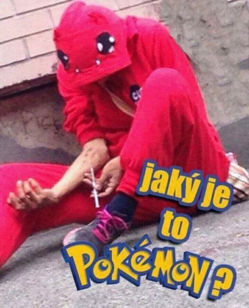  Pokémon 