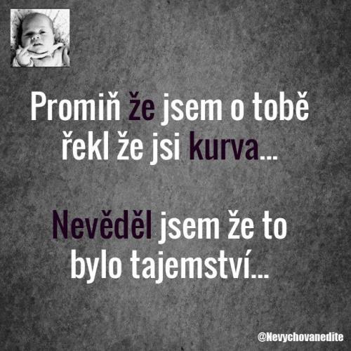 Promiň