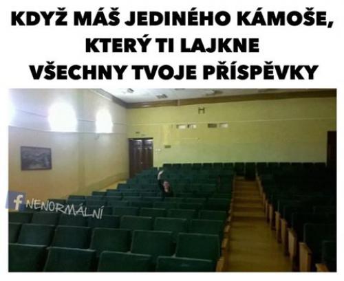  Ten jediný kámoš :D 