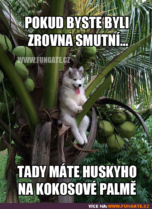 Chundeláček