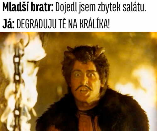  Zbytek salátu 