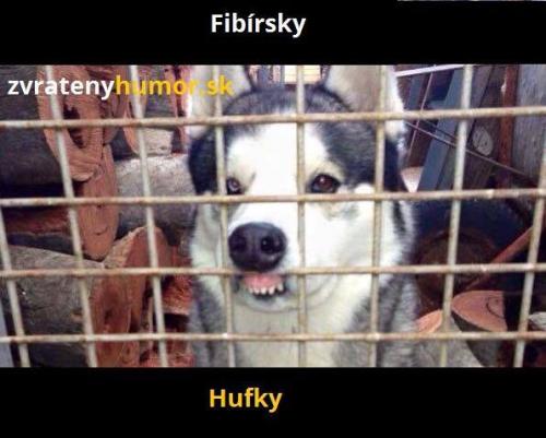 Hufky :)