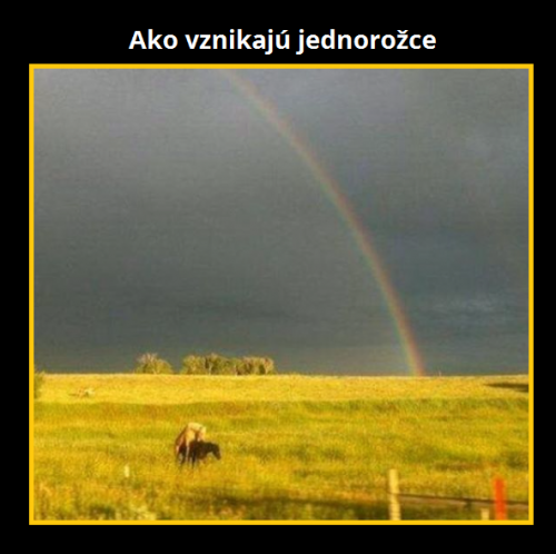 Jednorožci