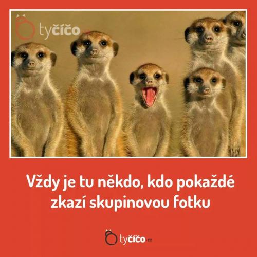 Skupinovka